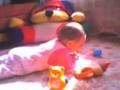 Sofii - First steps
