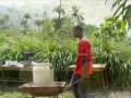drip irrigation in Siera Leon