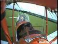 videos de Plane hits Cow