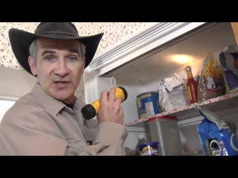 How to Get Rid of Pantry Moths