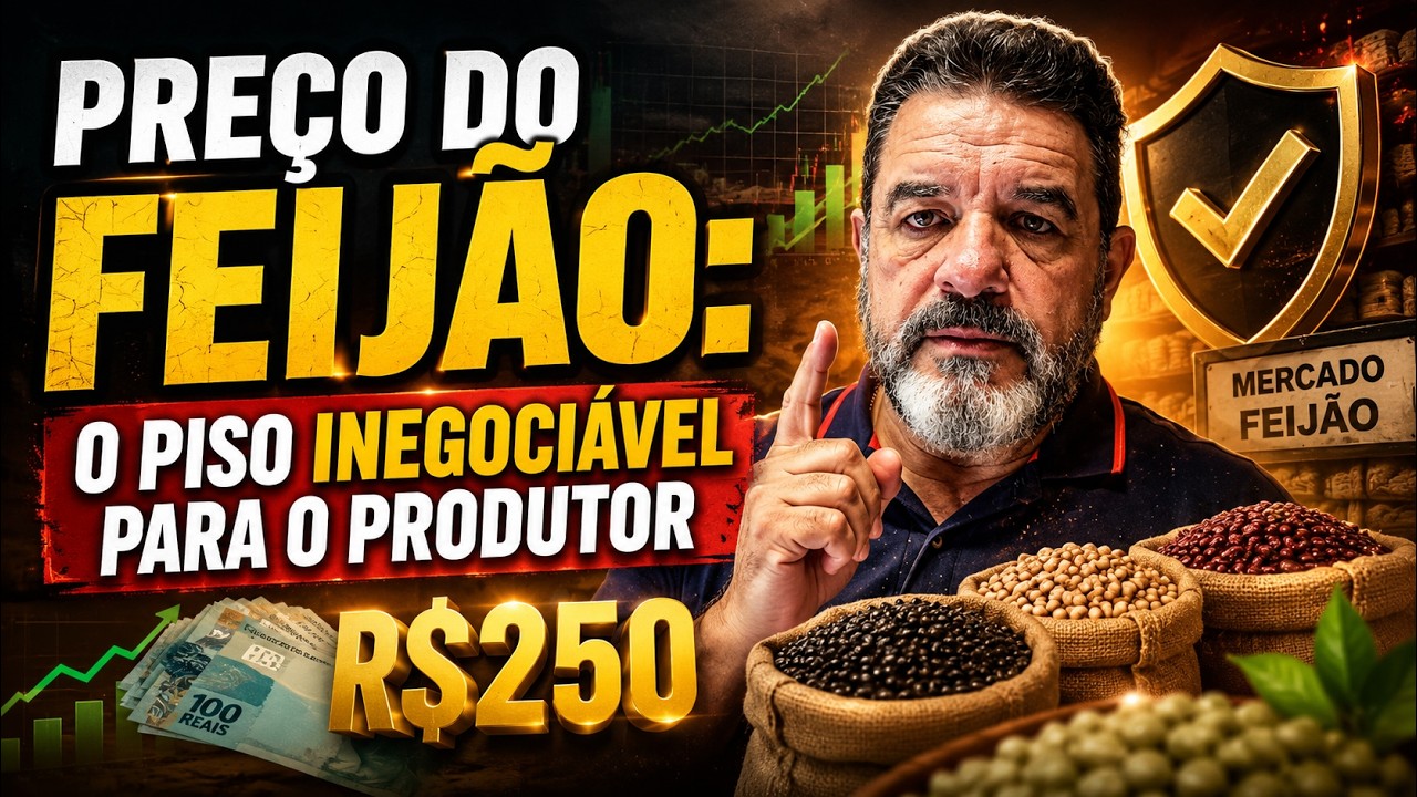 Preço do feijão: o piso inegociável para o produtor.