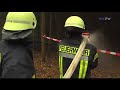 Waldbrand Waldbrand