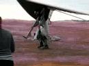 hang-gliding-mcclureyou-know-himyou-love-himheers-brian.html