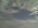 Boggy Creek RC Flyers