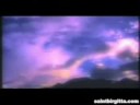 Der Untergang/The End of the World Der Untergang/The End of the World