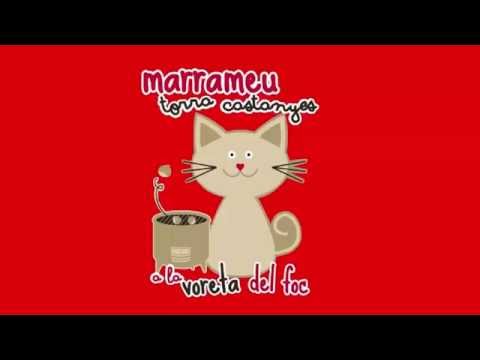 Imatge de previsualització de YouTube
