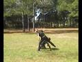 videos de Thieves Guilde - Audition Fight 08_10-19 - Zoe and Eric
