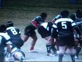 ROOTY HILL RAPTORS 2008