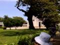 Hacienda San Pedro Alejandrino - Santa Marta - Colombia II
