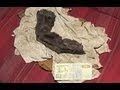 MUMMIFIED GIANT FINGER FOUND IN EGYPT PUBLICATION OF IMAGE MARCH 2012 HD