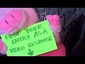 Pet Video Contest #11