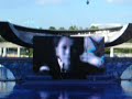 Sea World Believe Part 1