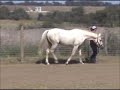 RFF Prince Charming at Liberty
