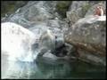 Corse 2008 - Saut rivières BenJ