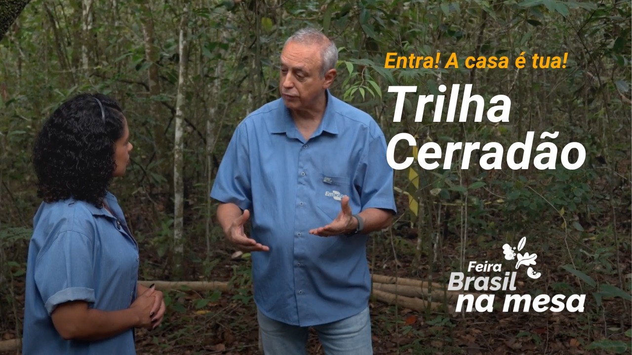 2) Trilha Cerradão - Entra! A casa é tua!
