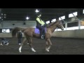 Contact Saddles / Helm Saddles