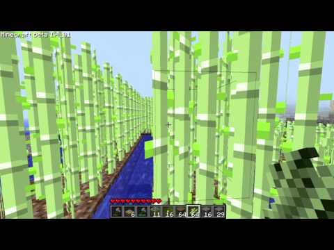 how to replant sugar cane in minecraft