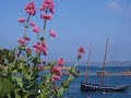 FINISTERE EN MUSIQUE