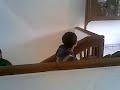 Sekolah ku punya eskalator