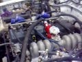 videos de Mavo