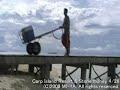????????????(Carp Island PALAU) ????????