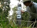 Sea Ranch Survivor - Chapter 9: Totem Post After Berries