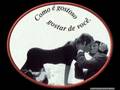 Assistir ao v�deo