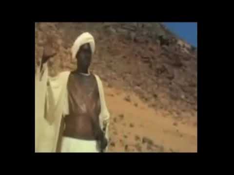 Pse Allahu lejoi Luftën Muslimanve !!!