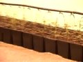 Powiat stargardzki: Największa w Polsce plantacja konopi