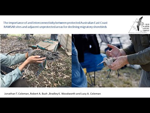 <p>The importance of protected and adjacent unprotected areas for feeding and roosting in migratory shorebirds.</p>
 video thumbnail