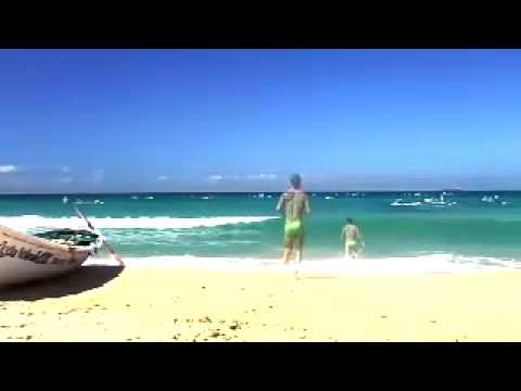 aussiBum - Evergreen Swimmers 