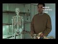 elvis: la pelvis de atapuerca