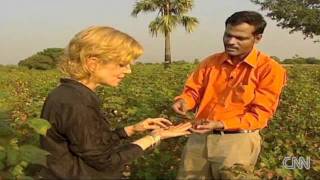 Biochar - CNN Video