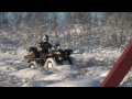 Смотреть