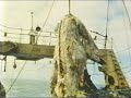 mysterious-world-sea-monster.html
