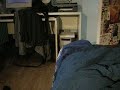 Catfight