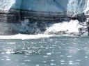 Glacier Calving - Margerie Glacier