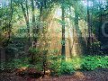 Educacao Ambiental - Aquecimento Global