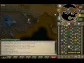 runescape blue dragon guild