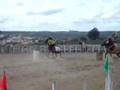 rodeio