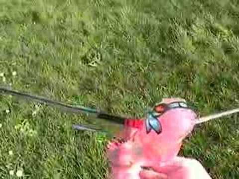 Watch RC Video: 'Ornithopter aircraft (mechanical bird) NOT RC -Gyroscope.com'