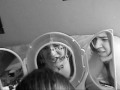 Barlow Girls- Mirror
