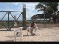 XE3N EL41 via AO-51