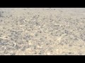 Skatīties Video