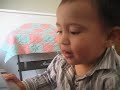 dancing-cat-kung-fu-baby.html