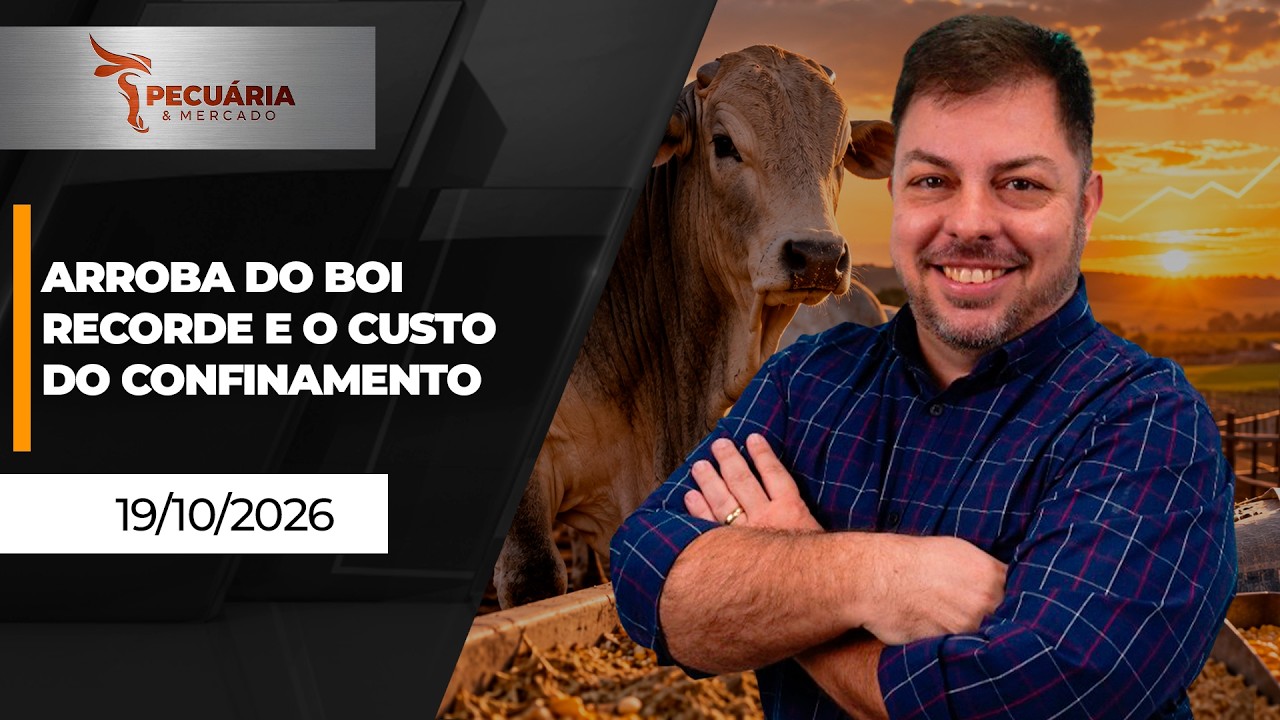 PECUÁRIA E MERCADO - Arroba do boi recorde e o custo do confinamento