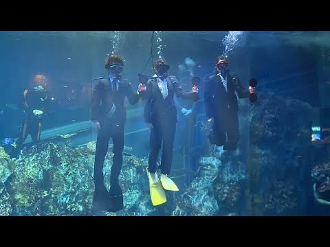 Aquarium in Japan begrt neue Angestellte mit einer  ...