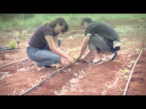 DocumentalUT DocumentalUT