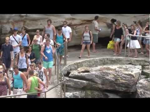 Video of Brado's Backpackers