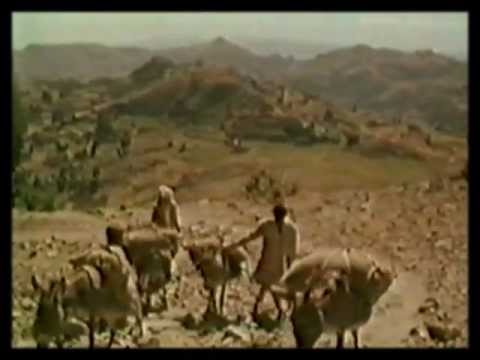 Fresh Touch - 'Harar Rhythm'